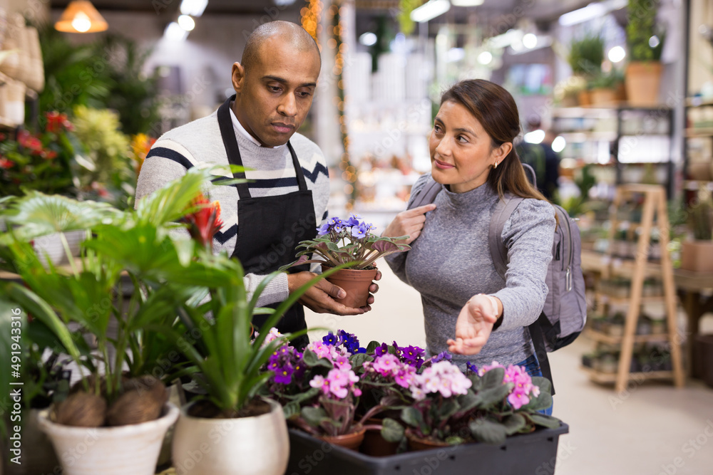 Shop assistant helping woman to choose geranium flowers in flower shop