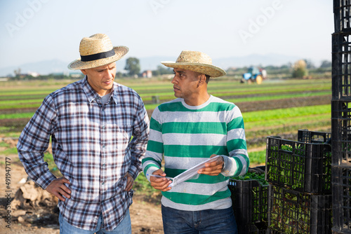 Experienced farmers standing outdoors near boxes with vegetables on background with field, discussing documents..