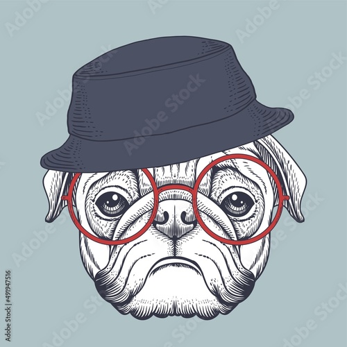 Pug dog hand drawn wearing a red glasses and bucket hat