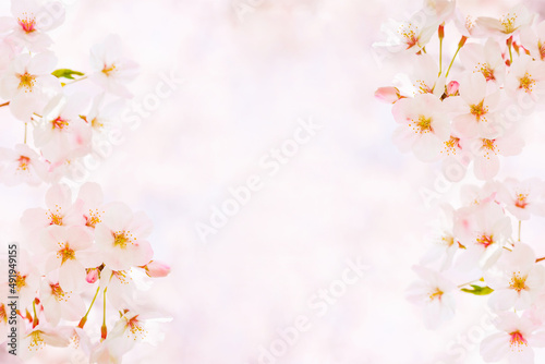 桜の花びらサイドフレーム（春イメージ背景素材）