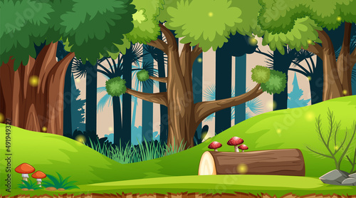 Nature outdoor forest background