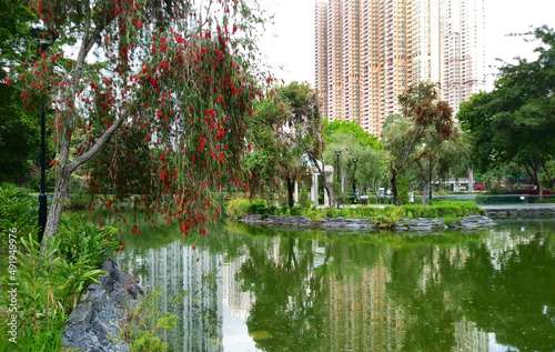 Lago do parque tin shui wai em hong kong photo