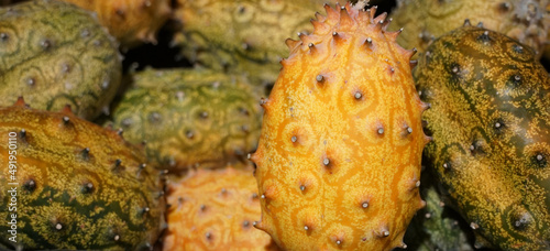 O pepino-africano, também conhecido como kiwano, kino ou ainda chifrudo, é um fruto comestível oriundo do deserto de Calaari, na África photo