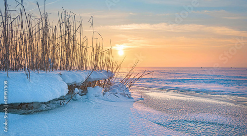 Ostfriesland im Winter  photo