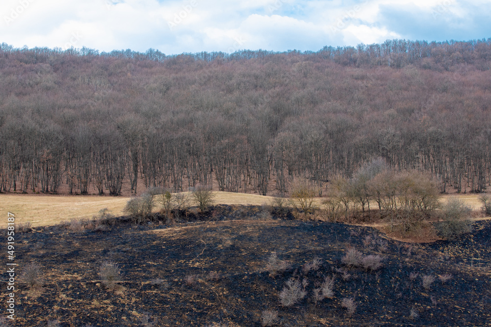 a field of grass burned after the fire
