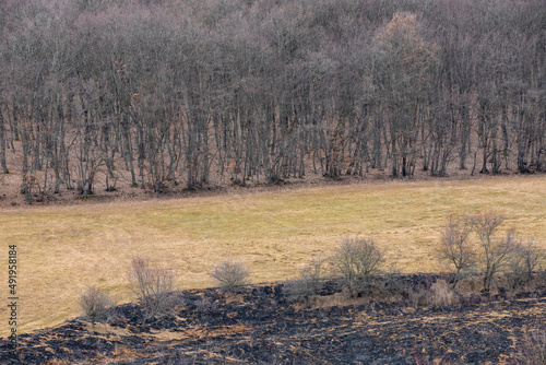 Wallpaper Mural a field after burning the grass Torontodigital.ca