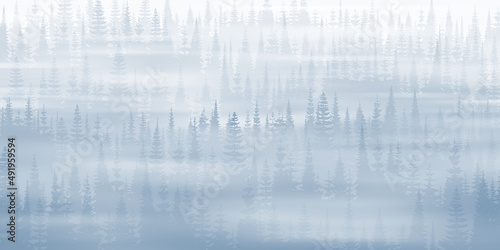 Coniferous forest in the morning fog, vector landscape, natural background