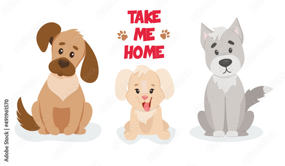 Vector illustration of a cute puppys. Take from the shelter Vector illustration of a cute puppys. Take from the shelter