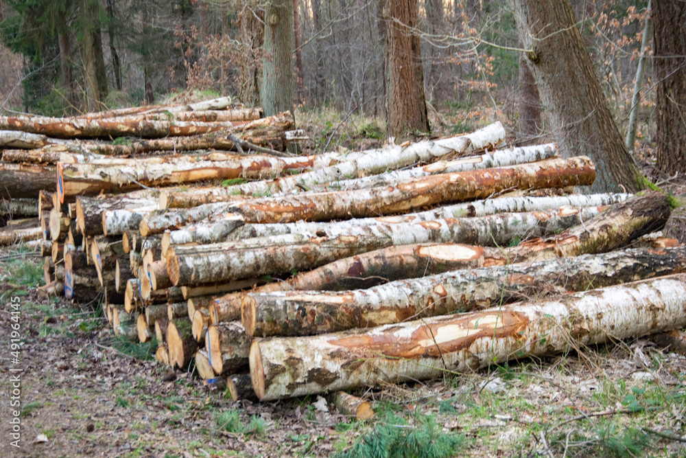 stack of logs