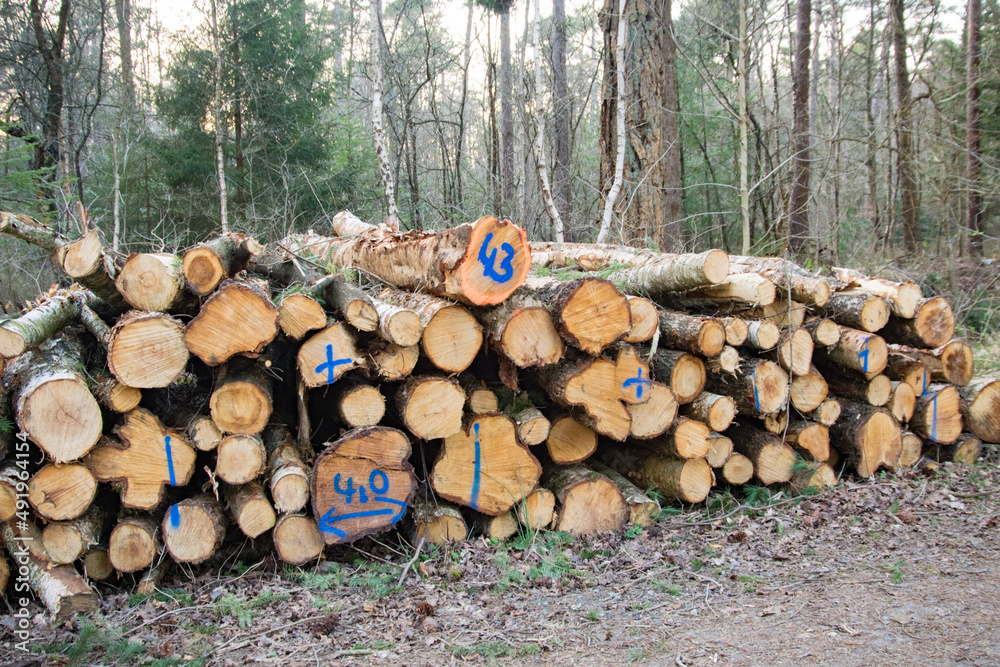 stack of firewood stack of firewood
