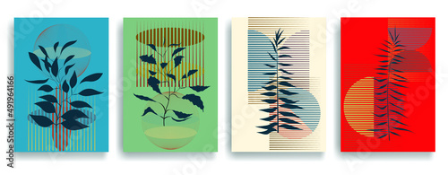 Modern wallpaper with minimalist design elements . Botanical art. Backgrounds in Boho style  . Wall art , home deco . Contemporary posters with leaves and geometric shapes .Vector abstract wallpaper.