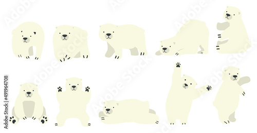 Polar bear funny character cartoon set