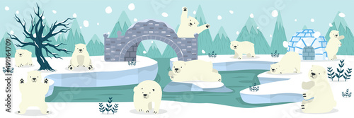 North pole Arctic with polar bear background