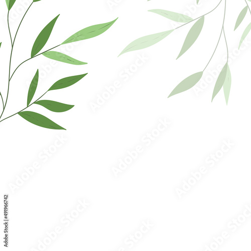 Floral web banner with drawn color exotic leaves. Nature concept design. Modern floral frame with summer branches. Vector illustration. Copy space