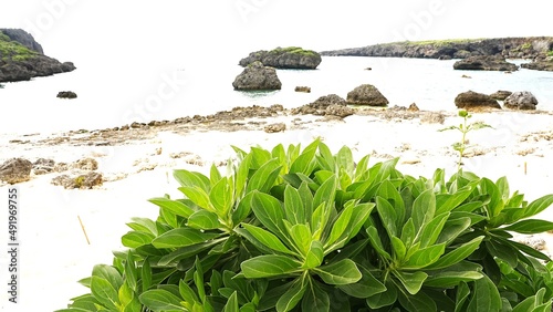 beach in miyakojima city photo