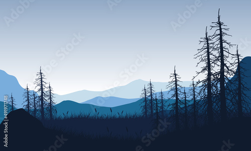 Beautiful mountain view of the forest at sunrise with fantastic dry trees silhouette