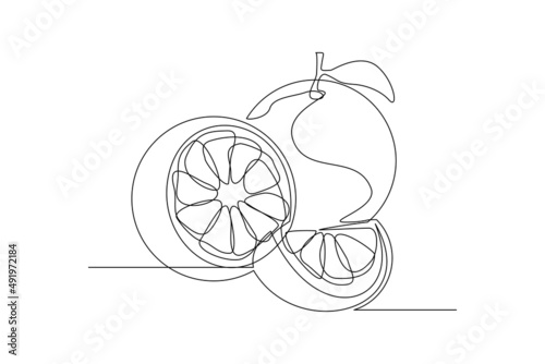 Continuous single one line drawing of orange tangerine summer fresh fruit vector illustration