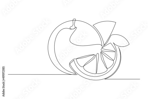 Continuous single one line drawing of orange tangerine summer fresh fruit vector illustration