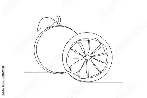 Continuous single one line drawing of orange tangerine summer fresh fruit vector illustration