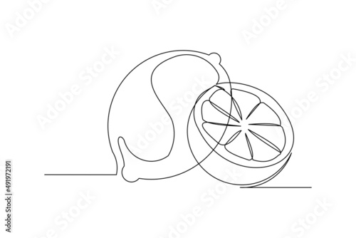 Continuous single one line drawing of lemon lime fresh summer fruit vector illustration