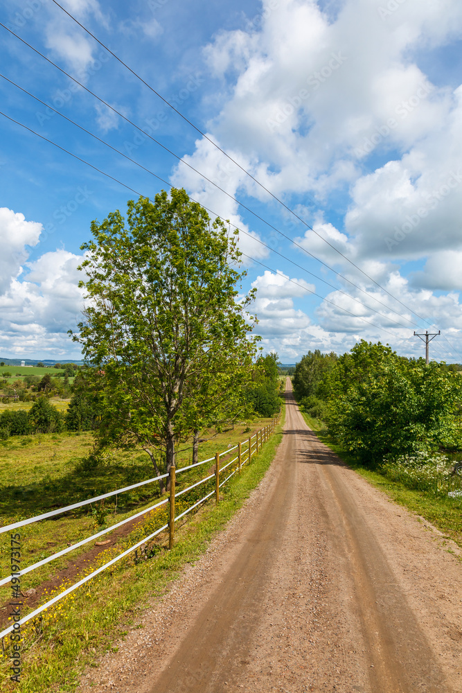 Dirt road in the countryside with a power line and a fence