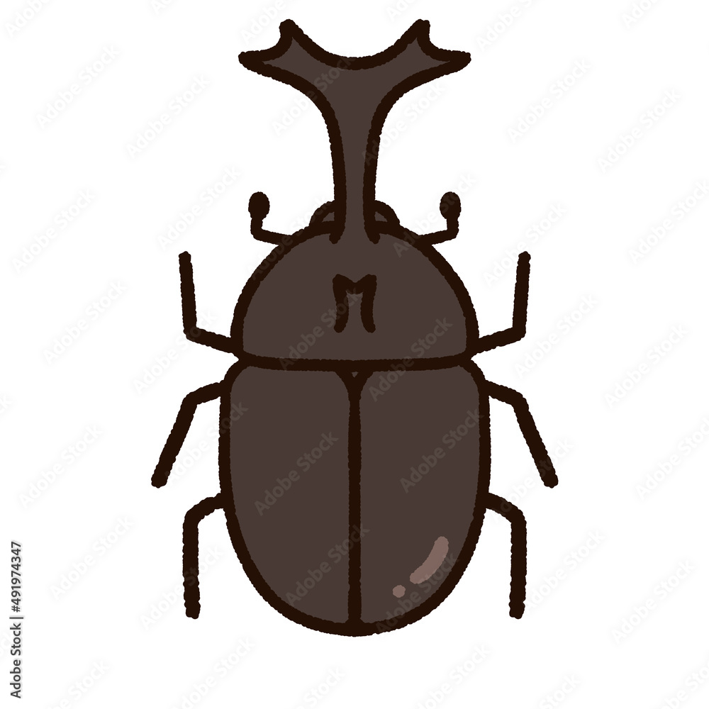 かわいいカブトムシ