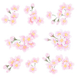 桜の花　パーツ