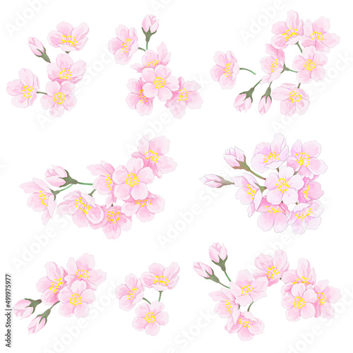 桜の花 パーツ