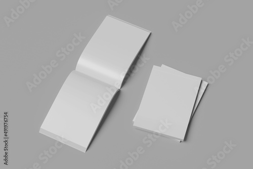 Blank magazine brouchure 