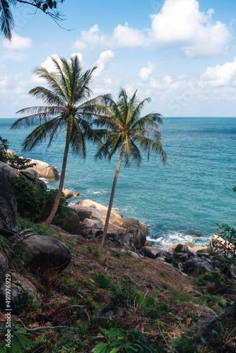 Two palm trees on the beautiful coast of the sea with turquoise water