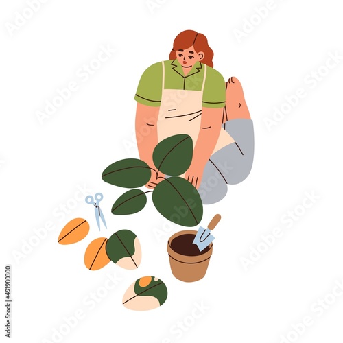 Woman replanting house plant from pot with soil. Person caring about unhealthy houseplant with wilting yellow leaves. Female and home gardening. Flat vector illustration isolated on white background