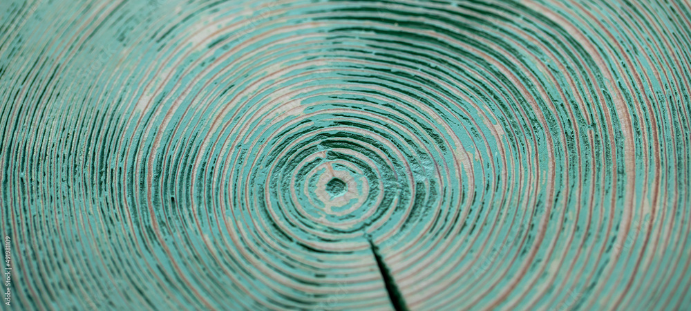 Painted green wooden cross cut with annual rings. Natural wooden background. Banner. Painted green wooden cross cut with annual rings. Natural wooden background. Banner.