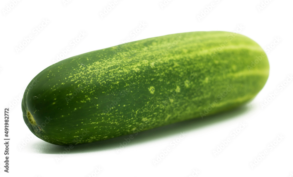 cucumber vegetable isolated on white background cucumber vegetable isolated on white background