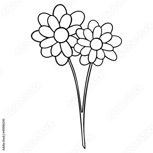 Flower hand-drawn and Spring outline design illustration for web, wedsite, application, presentation, Graphics design, branding, etc. photo