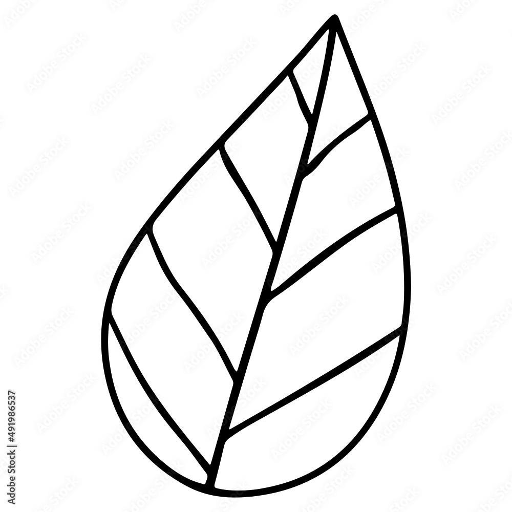 leaf hand drawn and Spring outline design illustration for web, wedsite, application, presentation, Graphics design, branding, etc. leaf hand drawn and Spring outline design illustration for web, wedsite, application, presentation, Graphics design, branding, etc.