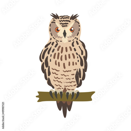 Perching Owl Bird with Broad Head and Sharp Talons Having Upright Stance