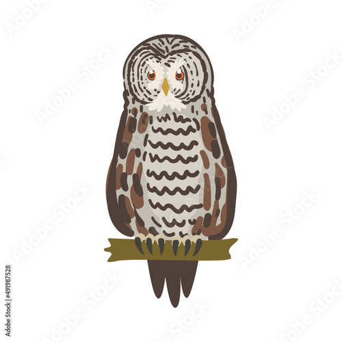Perching Owl Bird with Broad Head and Sharp Talons Having Upright Stance