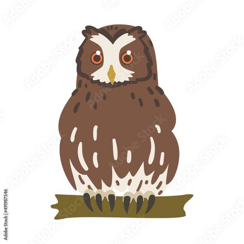 Perching Owl Bird with Broad Head and Sharp Talons Having Upright Stance