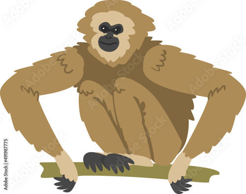 Gibbon Monkey as Arboreal Herbivorous Ape Sitting on Tree Branch Illustration photo
