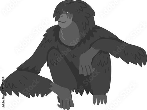 Siamang Monkey as Arboreal, Black-furred Gibbon with Long Limb Illustration
