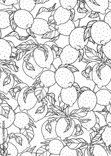 Outline lemon pattern. Fruit branches on white background