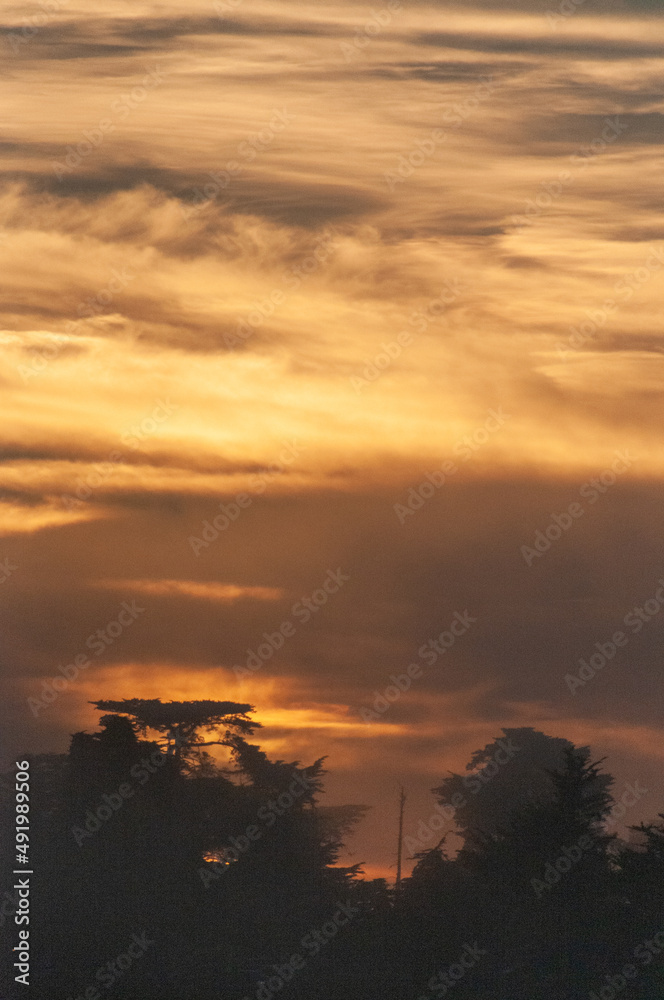 Dreamlike image of the setting sun breaking through a cloud layer and showing tree silhouttes.