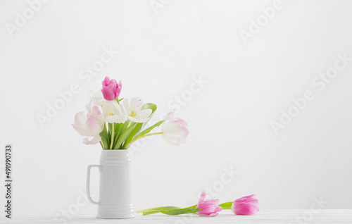 white and pink tulips in jug on white background