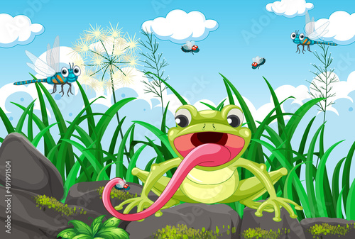 Frog living in nature