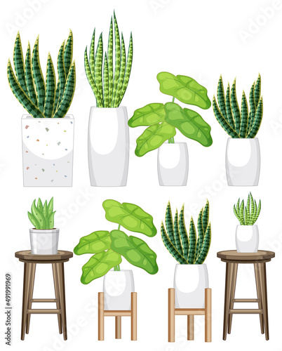 Set of different plant in pots on white background