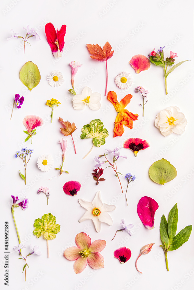 custom made wallpaper toronto digitalspring flowers on the white background
