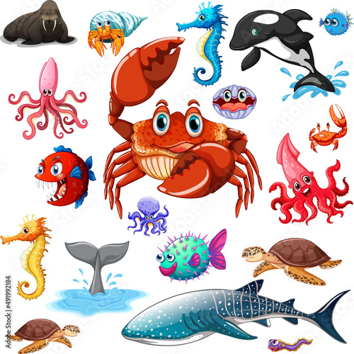 Different types of sea animals