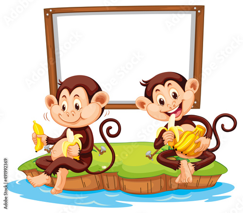 Monkeys eating banana with blank board on white background