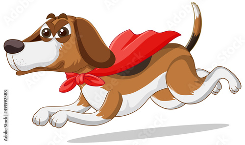 A Happy hero dog on white background