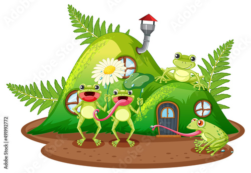 Frog living in nature